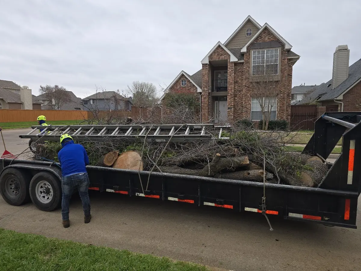 Expert Tree Removal with proper safety equipment in Troutville